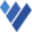 Vidi Corp logo