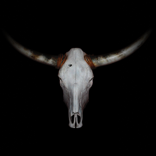 vier-fuer-texas.com icon