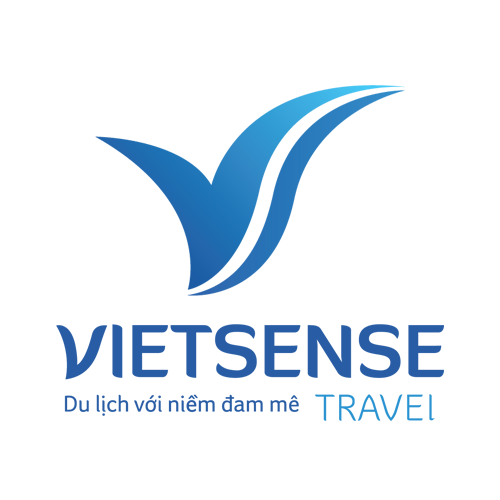 vietsensetravel.com icon