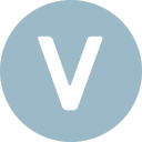 vigo.tech logo