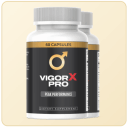 vigor-x-pro.com icon