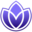 vigorant.com icon