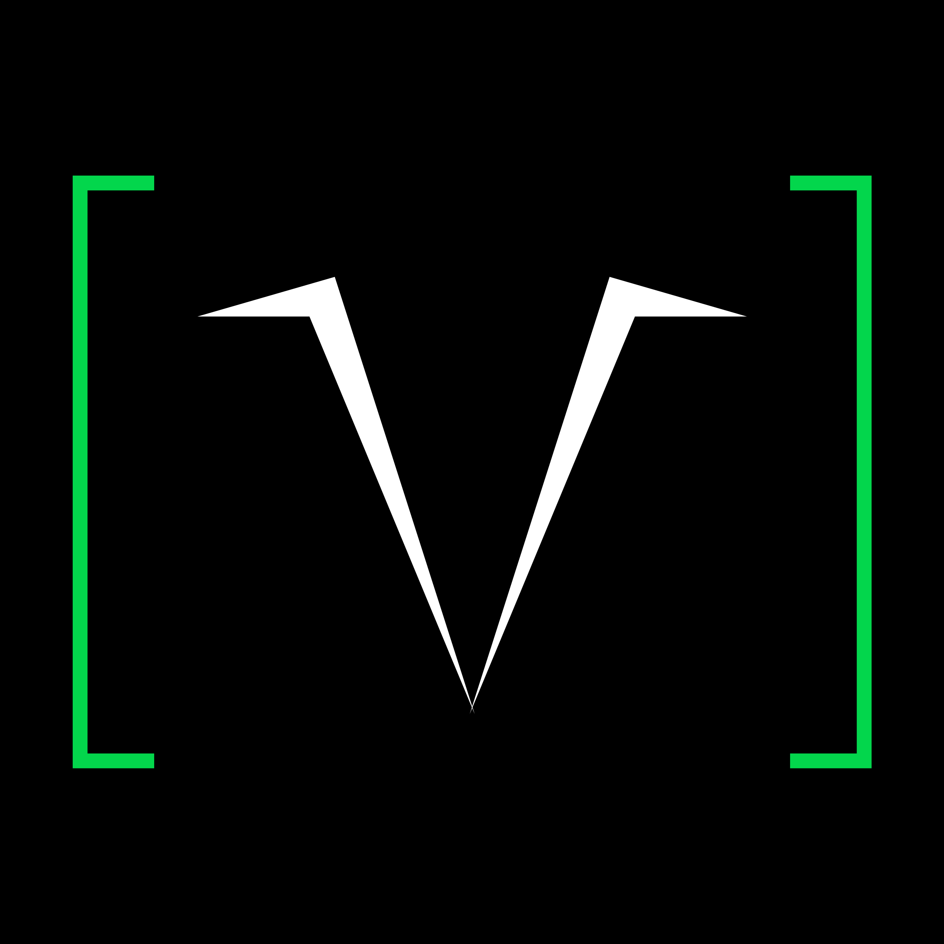 vikbot.com icon