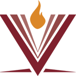 villagecgi.com icon