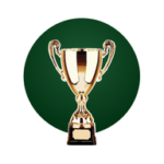 villagesriverclub.com icon