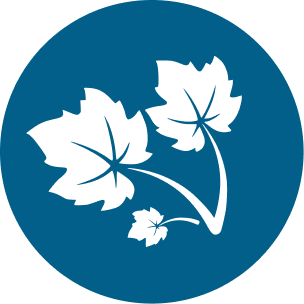 villiers94.fr icon