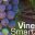 vinesmart.com icon