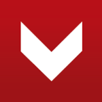vingua.com icon
