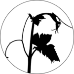 vinnovation.fr icon