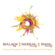vinomalaga.com icon