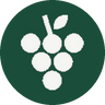 vinoscout.de icon