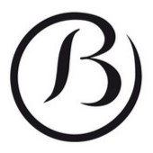 vins-bourgogne.fr icon