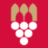 vins-saint-emilion.com icon