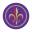 violanation.com logo