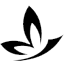 violanta.com.br icon