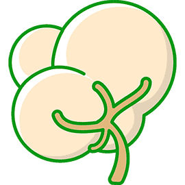 violarsa.com icon