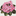 violetbarn.com icon