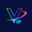 vipconexoes.com.br icon