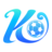 vipky.com icon