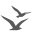 virtocean.com icon