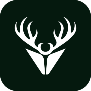 virtualgaps.de icon