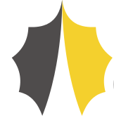 virtualroad.org logo