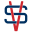 virtualstorefronts.com icon