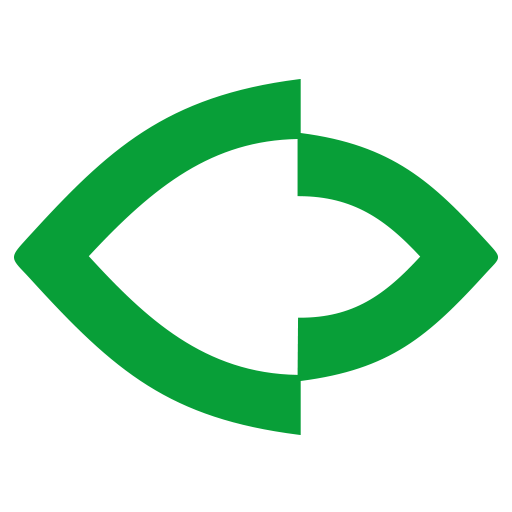 visaovip.com icon