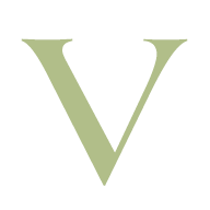 viscomp.bg logo