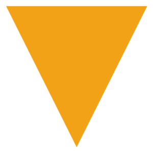 visiondelsur.com icon