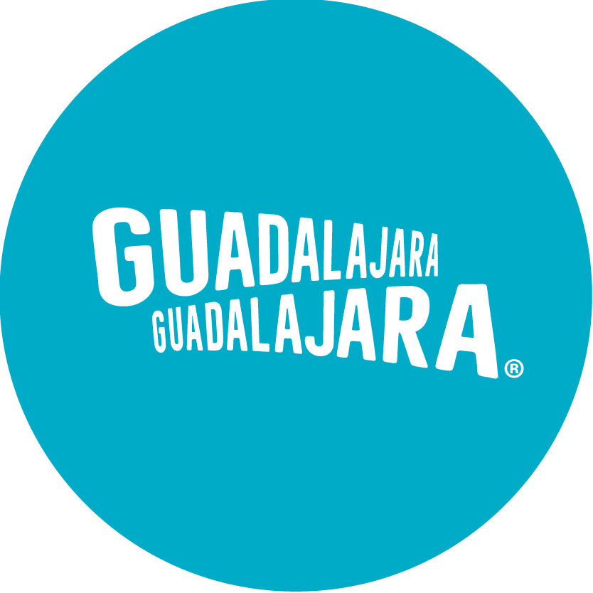visitagdl.com icon