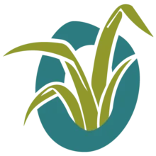 visitlasweetspot.com icon