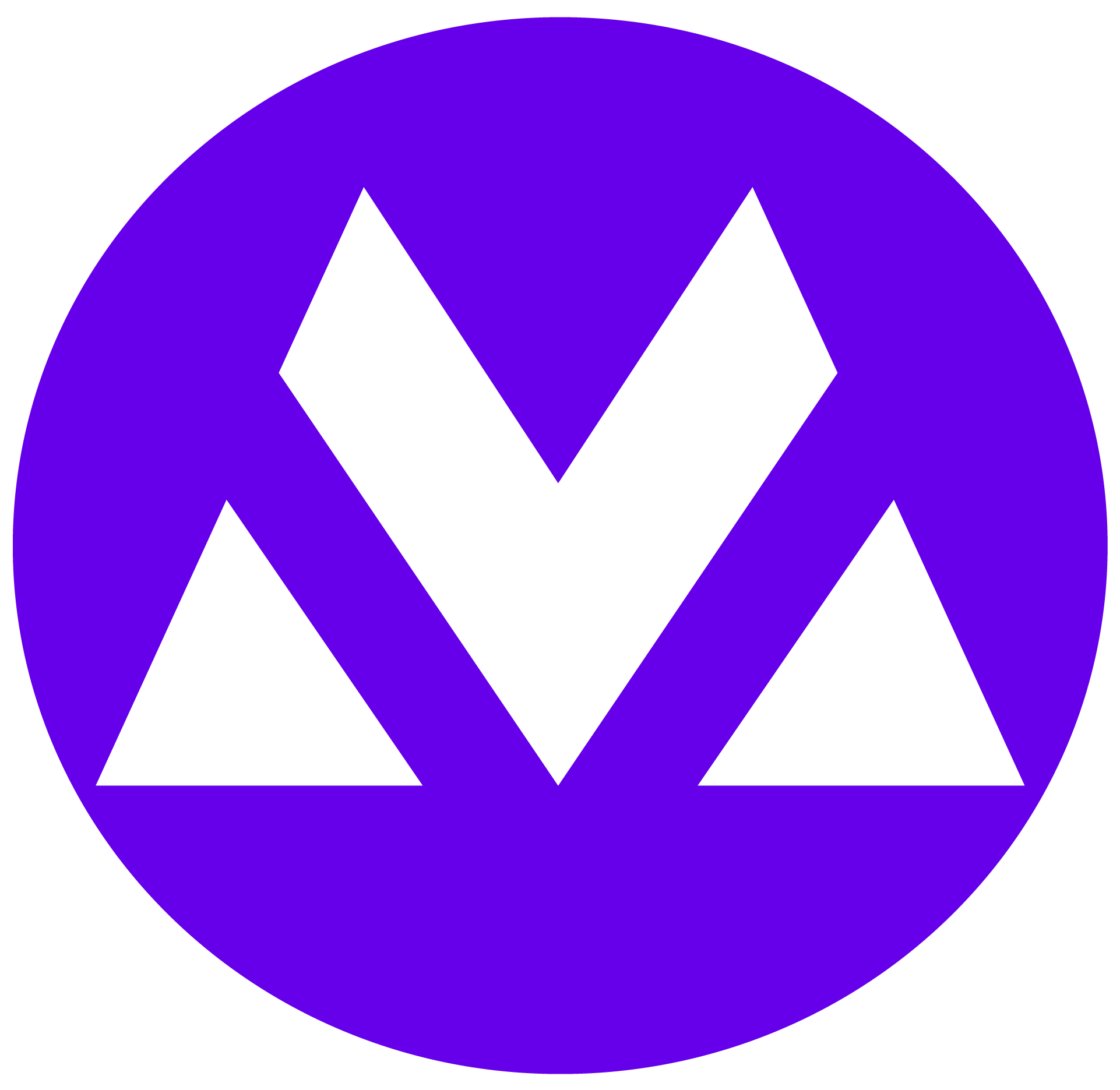 visitormatch.com icon