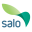 visitsalo.fi icon