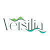 visitversilia.net icon