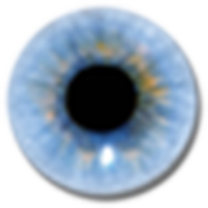 visuwords.com icon