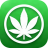 vitalcannabishealth.com icon