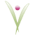 vitalhealth.com icon