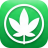 vitalherbcannabis.com icon