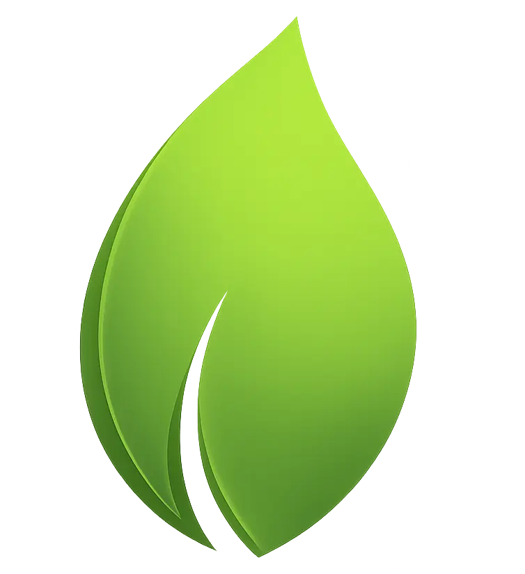 vivapaydayloans.com icon