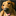 viveleschiens.com icon