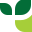 vivusonline.es icon