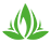 viweedy.shop icon