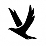 vkb-sim.pro icon