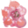 vkruzhevah.ru icon