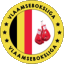 vlaamseboksliga.com icon