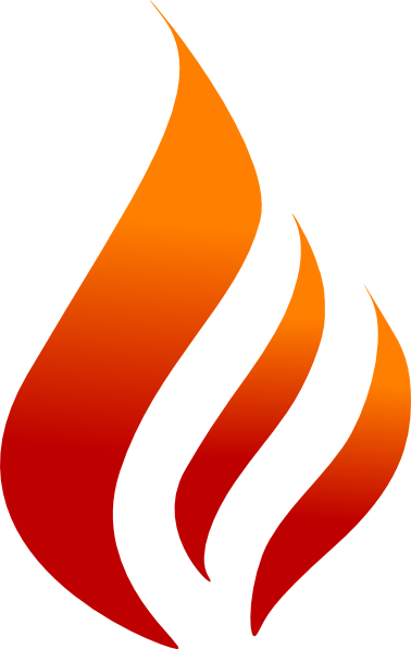 vlamshop.nl icon