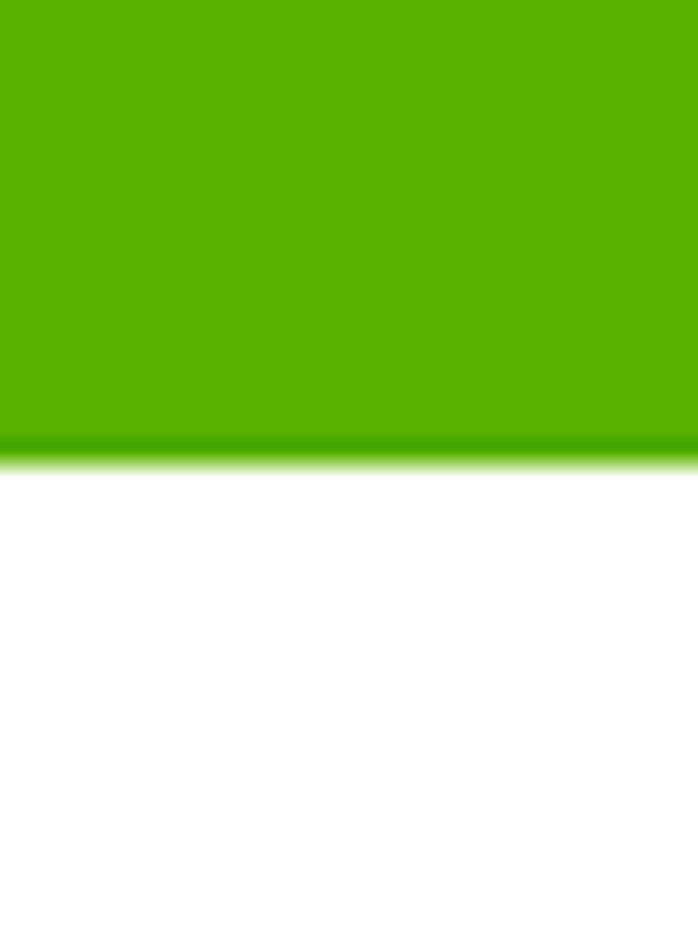 vlieland.net icon