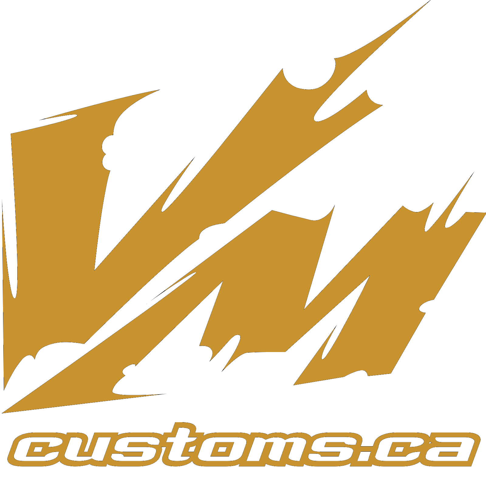 vmcustoms.ca icon
