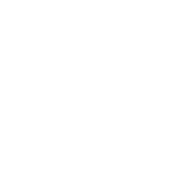 voidpulse.ai logo